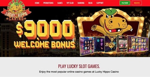 Lucky Hippo Casino Bonus Offer